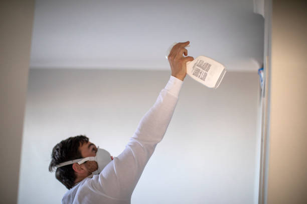 Best Emergency Mold Remediation in Bloomingdale, IL